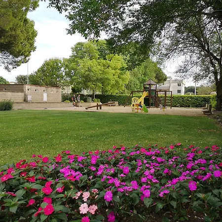 Summerjoy * بيبيوني