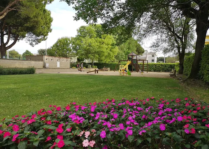 Summerjoy * 비비오네